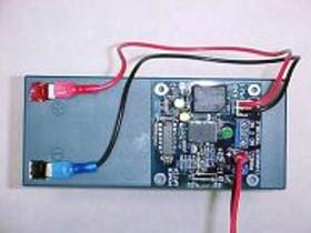 ESD-Electronic-Security-Devices-PW1.jpg